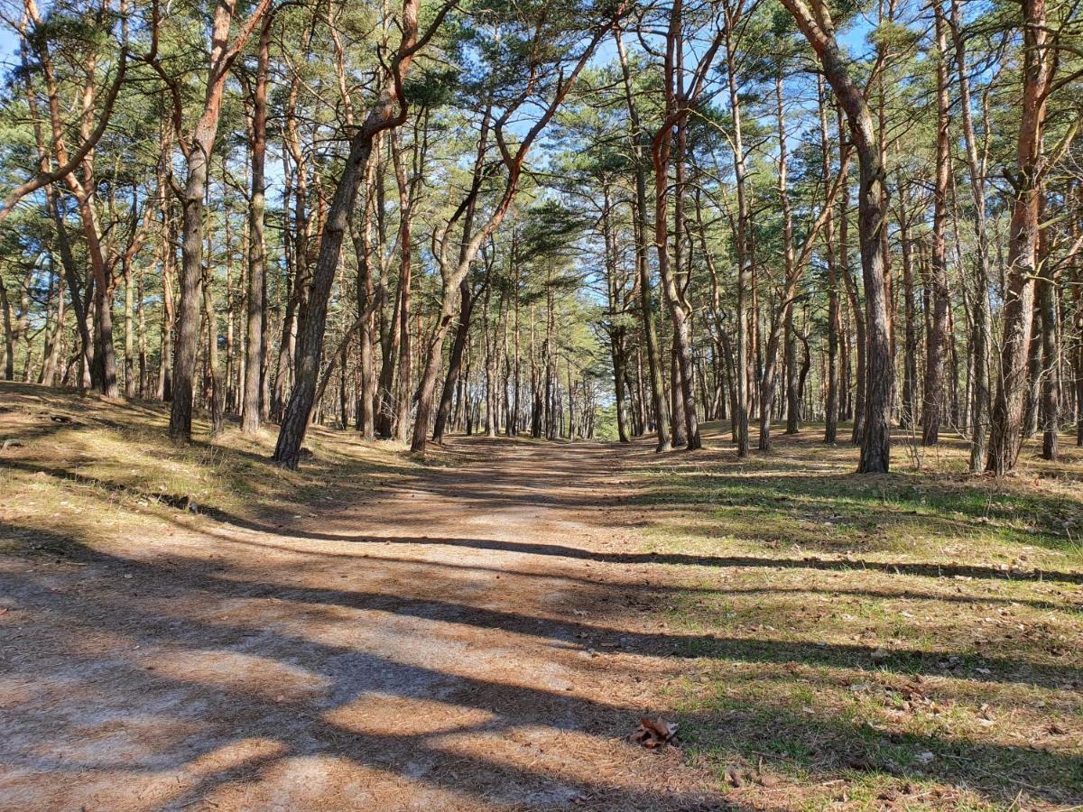 Apartamenty Wislany Przekop Gdańsk Buitenkant foto